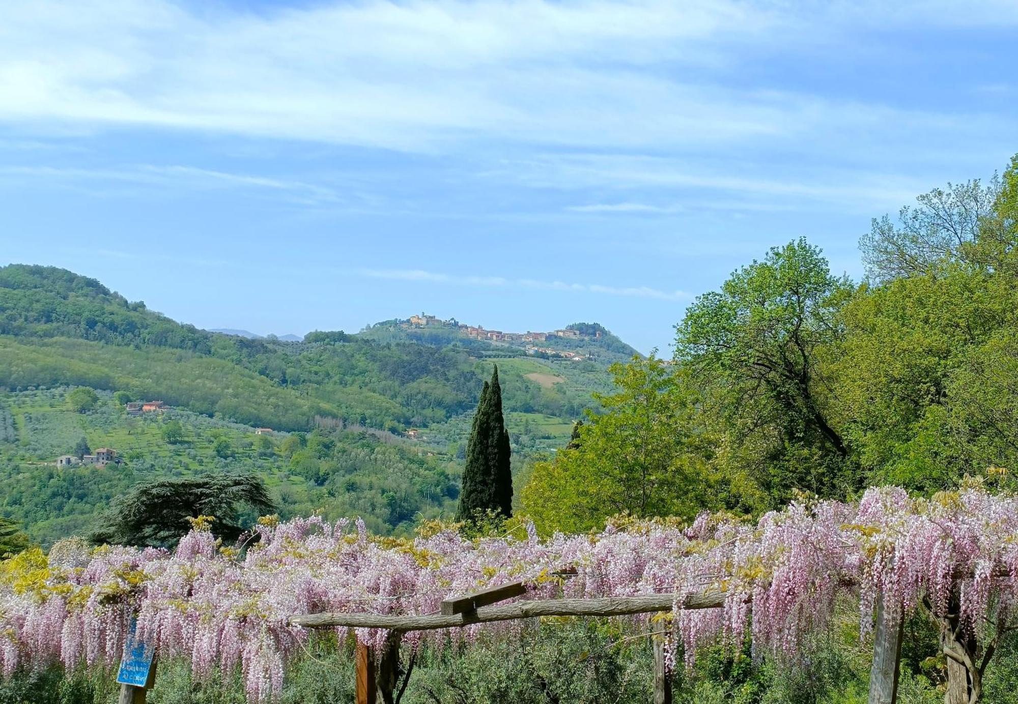 Agriturismo I Pitti Serravalle Pistoiese Kültér fotó